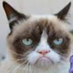 Meet your Posher, Patti